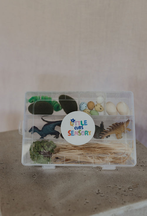 Dinosaurs Sensory Kit