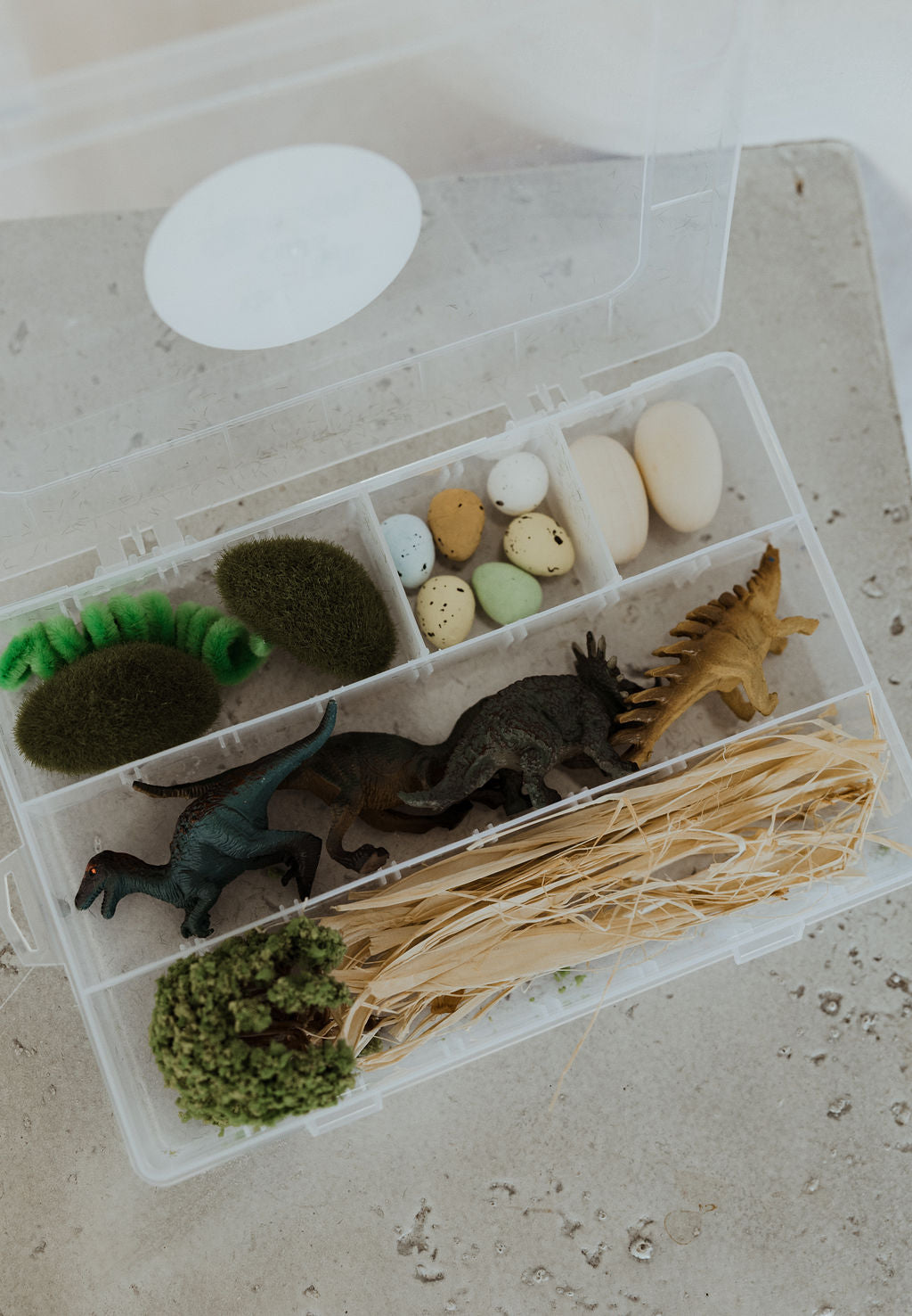 Dinosaurs Sensory Kit