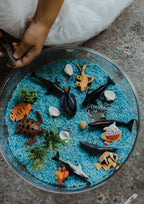 Under the Sea Sensory Kit