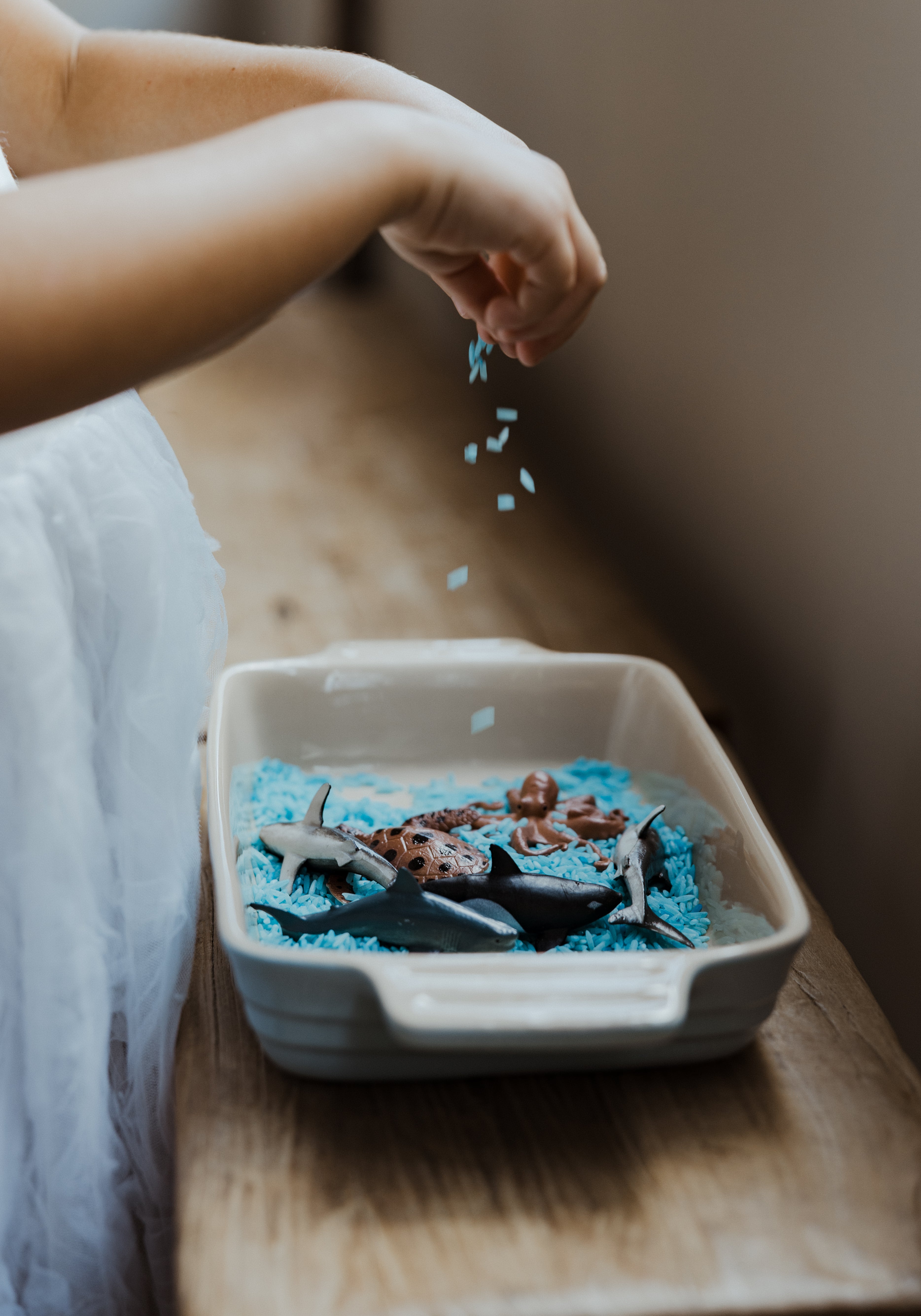 Under the Sea Sensory Kit