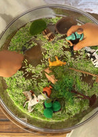 Welcome to the Farm Sensory Kit
